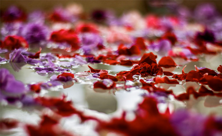 honeymoon-paket